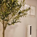 날씬한내몸37도 이미지