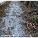 산속농장 이미지