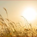 24시카센타 이미지