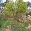 준 농장 이미지