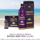 온트리플렉스 이미지