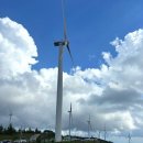 영월힐링하우스 | 평창 육백마지기 근처 펜션 평창강힐링하우스 후기