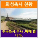 화수리축사 이미지