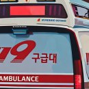 청원사료 이미지