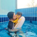 공룡풀빌라펜션 이미지