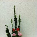 화훼장식 기능사(꽃꽂이) 이미지