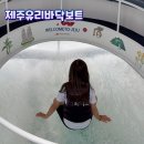 두꺼비로70번길(3-259) | 제주도 액티비티 | 제주 요트 제주유리바닥보트 찐후기