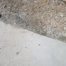 e편한세상계양 112동 앞 | 공장 앞 주차장 스틸 볼라드 교체 철제 주차방지 기둥 설치