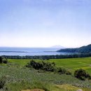 창선대교타운 관광안내소 이미지