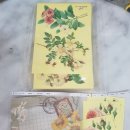 예뜰플라워 - 서구 가장로 100 | [옥이b] 자급자족 후백꽃, 예뜰플라워 "Bloom in flower"