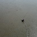 허가네짱뚱어전문점 이미지