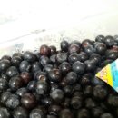 김동규농장 이미지