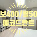 에코드반트 이미지