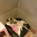 동네게임방 이미지