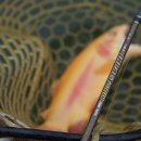 무지개낚시터 이미지