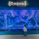 목계숲 1 | 충주 아쿠아리움 | 주차·입장료·아이체험·근처맛집 총정리