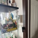 Space-hand | Meross 스마트 존재감지 센서 후기(MS600)