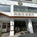 무등산호랭이 이미지