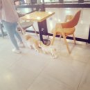 까미컴퍼니 이미지