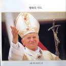 가야성당30년사( 1973~2003) 교황님,주교님,표지 ,역대 주임신부님 이미지