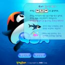 쿠아 이미지