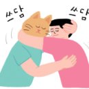 충만치킨 조촌점 이미지