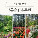 솔향수목원(방문자쉼터) 이미지