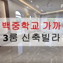 신백중학교 이미지