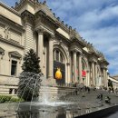 메트로폴리탄 2 | 뉴욕 메트로폴리탄 미술관 관람 후기, 입장권 할인 &amp; 도슨트 추천 이유