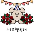 모갸또