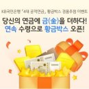 주식회사 데일리영 이미지