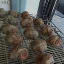 독바위손만두 | 독바위역 맛집 만나만두 리뷰추천메뉴가격주차영업시간