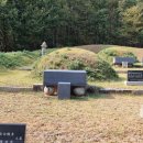 대구서씨 정려 이미지