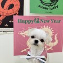 온희(Onhee) 이미지