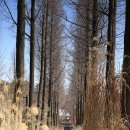 남부-신정-신정07 이미지