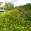 꽃길만두 이미지