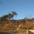 서신초제부분교장 이미지