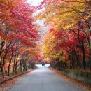 인제03-2 이미지