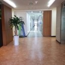 관정빌딩 이미지