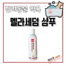 서면다정동물약국 이미지