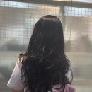 미장원339 | 💇🏻‍♀️ 산본역 중심상가 미장원339 레이어드컷 자연스러운 셋팅펌 가격예약 내돈내산 후기