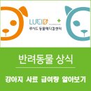 24시루시드동물메디컬센터 이미지