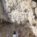 신토불이 이미지