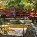 밸리하우스펜션 | 계곡 바로 앞, 문경의 여름 피서 명소 쌍용밸리하우스펜션
