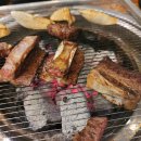 고기바보 이미지
