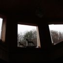 가평별누리펜션 이미지