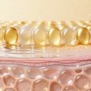 디엠환경 이미지