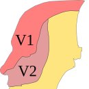 종로홍제한의원 이미지