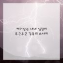 탄탄플란트치과의원 이미지