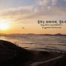 얌샘태안점 이미지